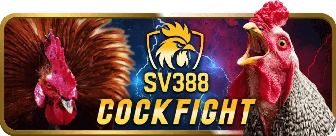 Chương trình hoàn trả VIP bj66 khuyến mãi